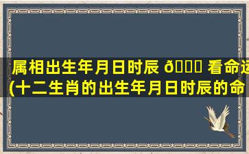 属相出生年月日时辰 🐝 看命运(十二生肖的出生年月日时辰的命运解)